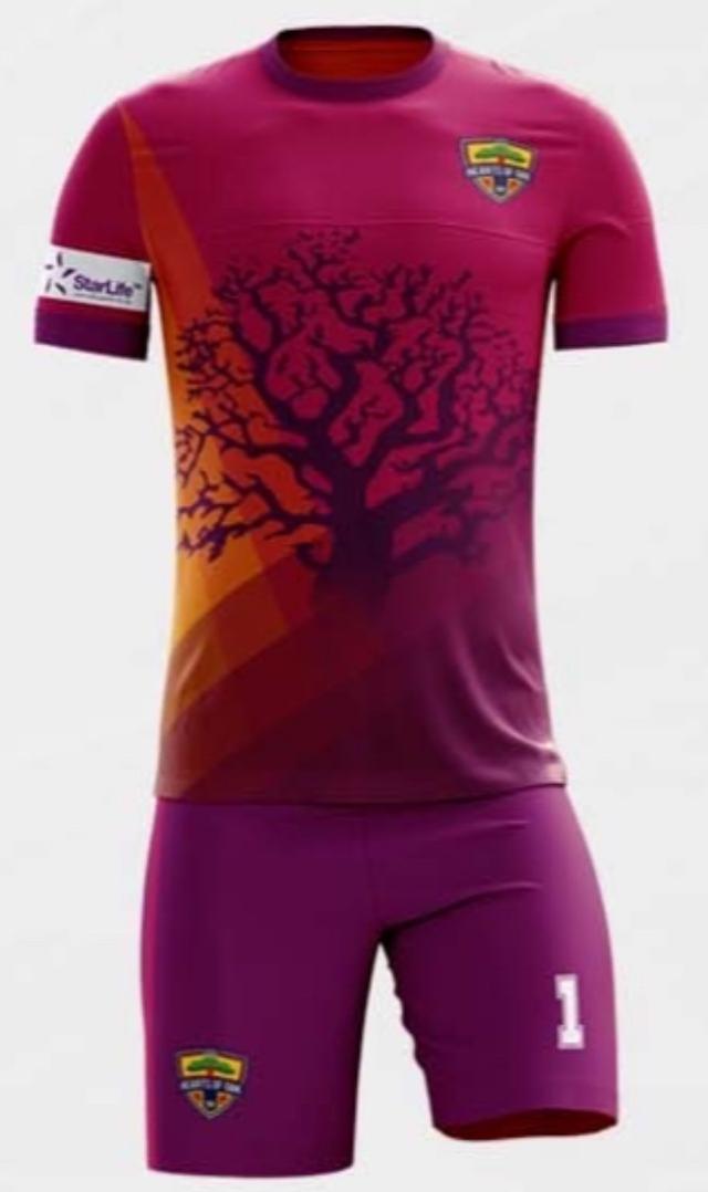 Goalkeeper Away Jersey Replica 2024/2025